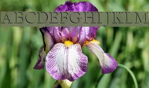 Image result for Emboss Normal Map. Text