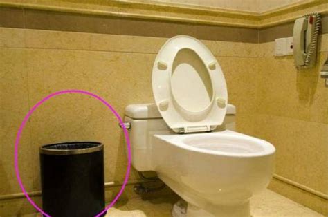马桶到底能不能“扔纸”？还有人不懂，难怪细菌弥漫卫生间！ - 知乎