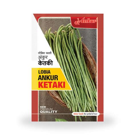 Ankur Ketaki Cowpea Seeds – Cultree India