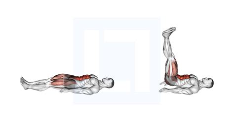 Leg Raises Exercise 的图像结果