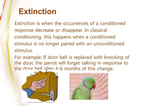 Extinction Of Conditioned Response