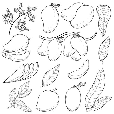 Mango black white Images - Free Download on Freepik