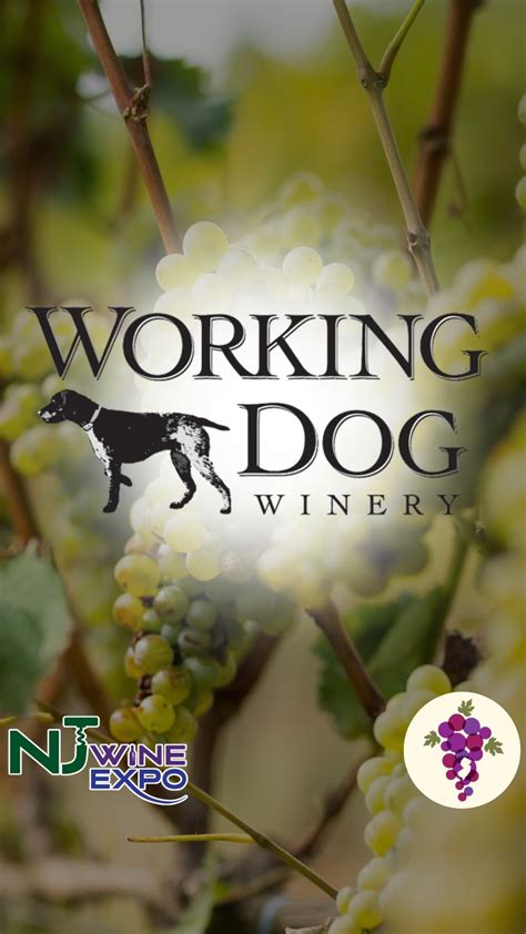 Working Dog Winery (@workingdogwinery) • Instagram photos and videos