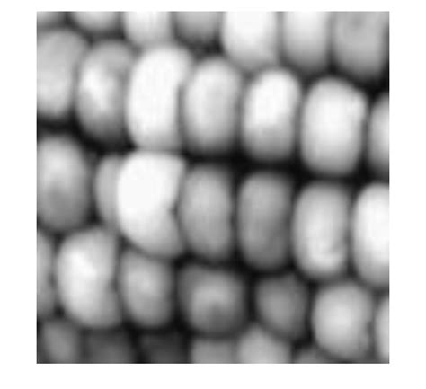 Imshow MATLAB 的图像结果