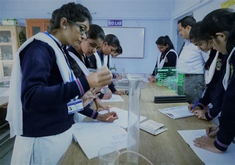 Mithila Public School | Learn more, do more and become more, you are a ...