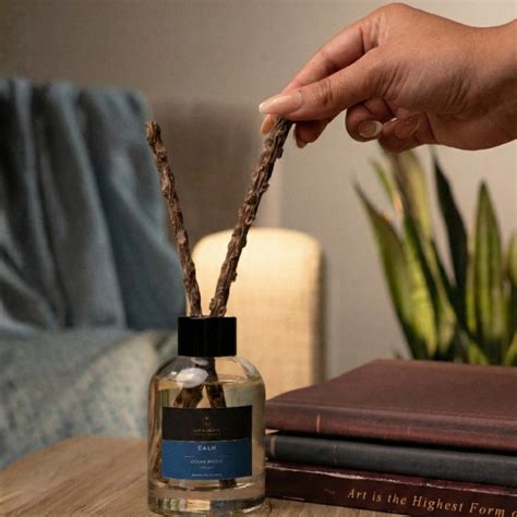 Why Reed Diffusers Are the Best Flameless Home Fragrance Option – Twin ...