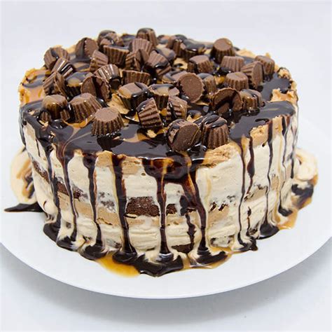 Walkoqsr Company Pvt Ltd in Vijayanagar, Bangalore - Best Ice Cream ...