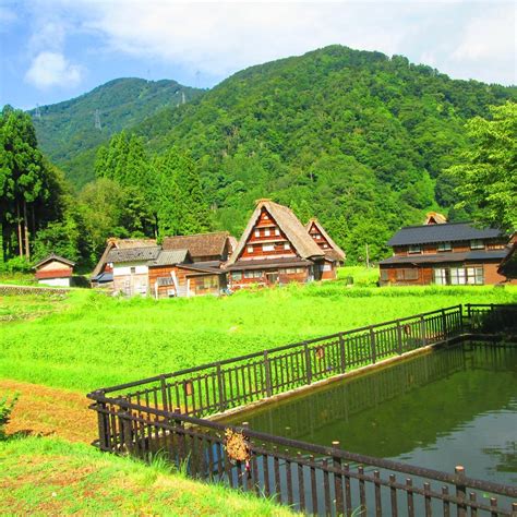 SUGANUMA GASSHO COMMUNITY (2026) All You Need to Know BEFORE You Go ...