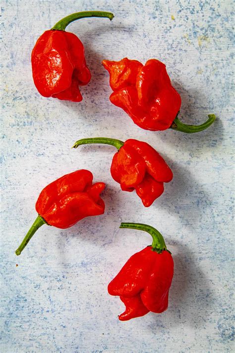 Scorpion Pepper Scoville