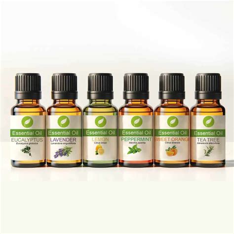Perfume essential oils wholesale online