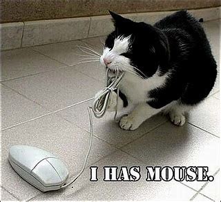 Funny Computer Mouse 的图像结果