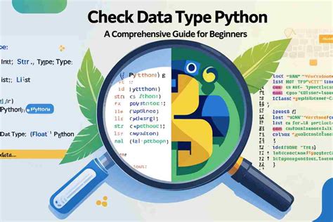Image result for Python Check Input Type