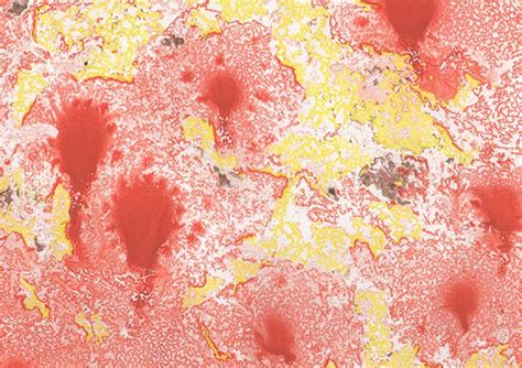 Monotyping Examples 的图像结果