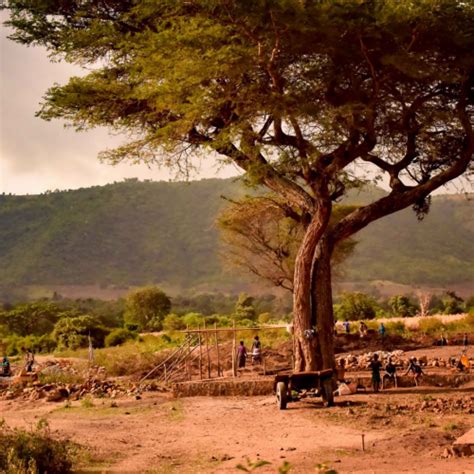 Image result for Paul Howe CSAT Book