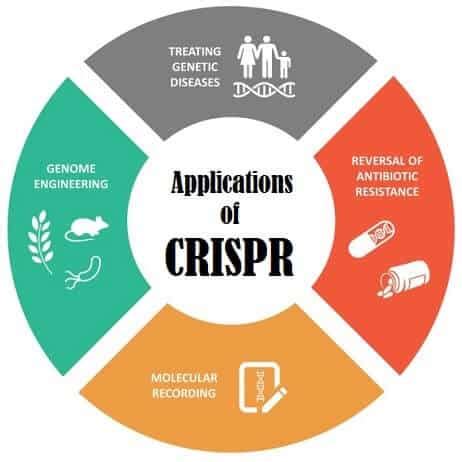 Image result for CRISPR Benefits