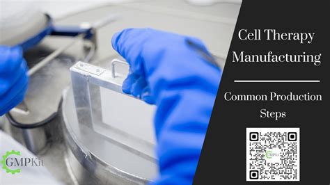 Cell Therapy Process 的图像结果