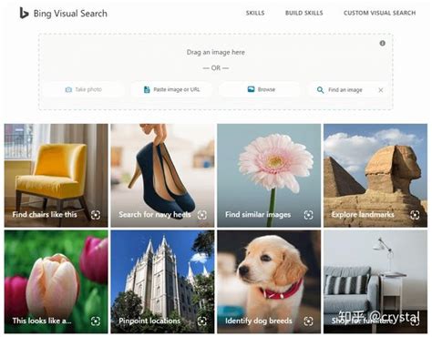 以图 搜图 的图像结果