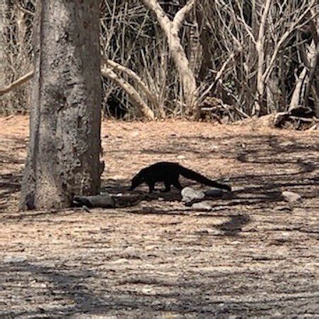 Culebra Tourism (2024): All You Need to Know Before You Go