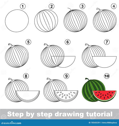 Watermelon. Drawing Tutorial. Stock Illustration - Illustration of ...
