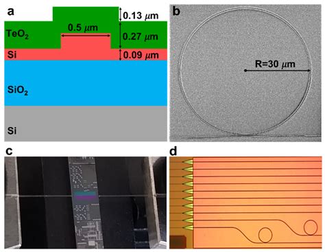 Microring Resonators | Encyclopedia MDPI