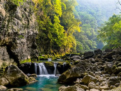 Download wallpaper 800x600 river, water, stones, trees pocket pc, pda ...