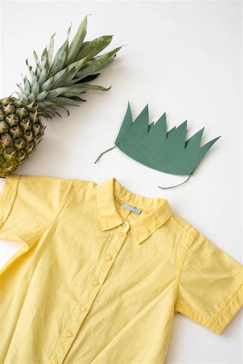 11+ Creative Home Made Costume Ideas for Everyone