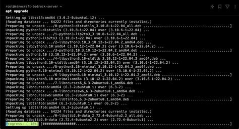 Image result for How to Download Personal Server Java and Bedrock