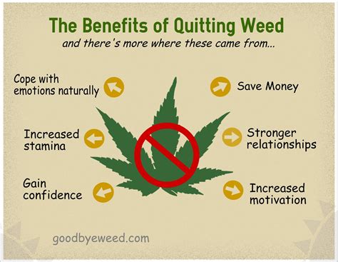 Supplements Quitting Weed at Patricia Kibbe blog
