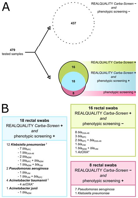 Combined Use of Phenotypic Screening and of a Novel Commercial Assay ...
