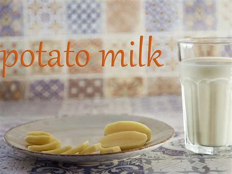 Potato Milk Benefits: Everything you need to know about potato milk