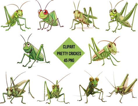Clipart Pretty Crickets Set Pretty Crickets 45 PNG Digital Print Cute ...