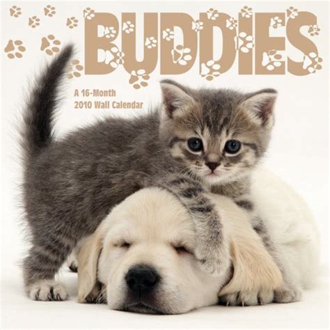 Buddies 2010 Wall Calendar : Amazon.in: Books