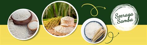 B&B Organics Aromatic Seeraga Samba Rice (10kg)/ Certified Organic ...