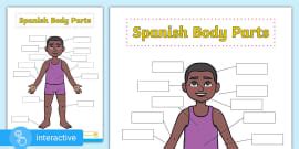 Spanish: Body Parts Labelling Activity Sheet (teacher made)