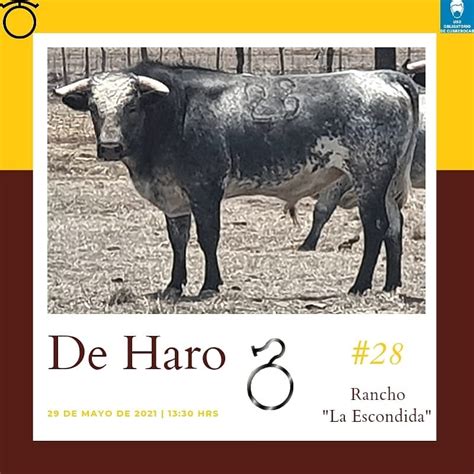 II Festival de Concurso de Ganaderías en el rancho “La Escondida” de ...