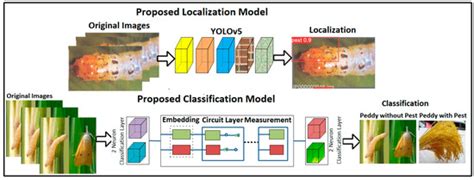 Pest Localization Using YOLOv5 and Classification Based on Quantum ...