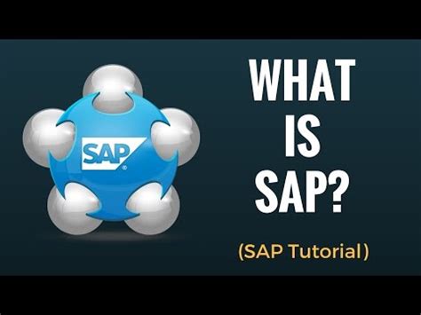SAP System Overview 的图像结果