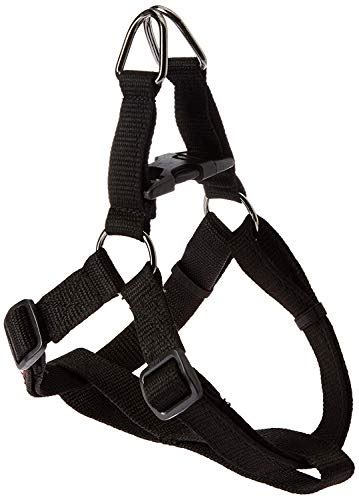 Amazon.in Bestsellers: The most popular items in Basic Halter Harnesses