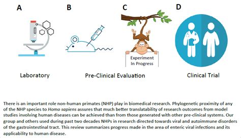 Non-Human Primate Models of Enteric Viral Infections[v1] | Preprints.org
