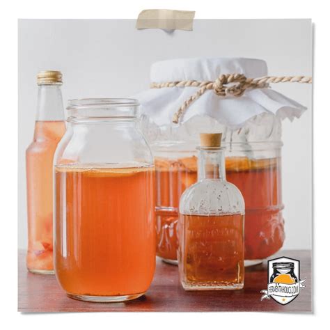 Kombucha FAQ: Why Does My Kombucha Taste Like Vinegar?