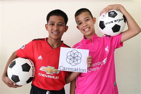 Carenation | seed.uno