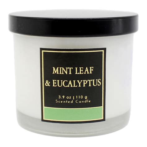 Mint Leaf & Eucalyptus Scented Jar Candle, 3.9oz