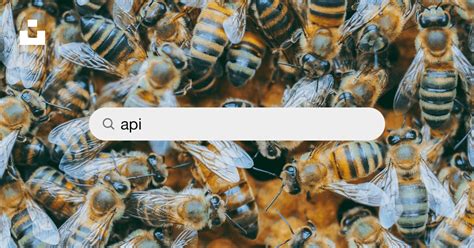Image result for API HD Images