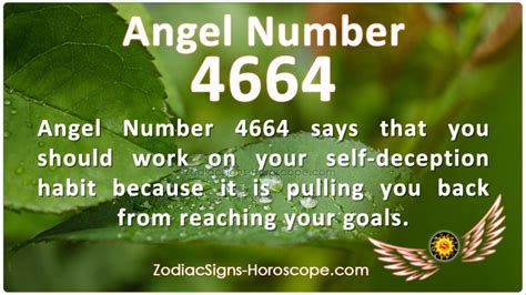 4664 号天使告诉你要避免自欺欺人 | 天天要闻4664含义
