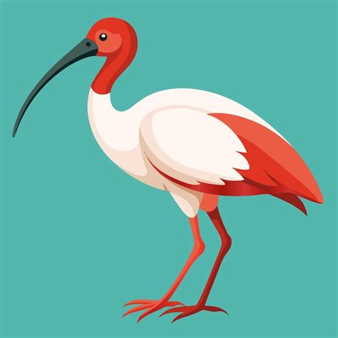 Un dessin d'un oiseau avec un bec rouge et un fond vert | Vecteur ...