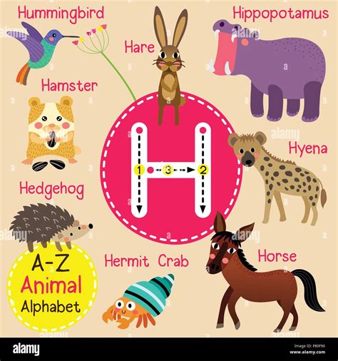 Cute children zoo alphabet H letter tracing of funny animal cartoon for ...