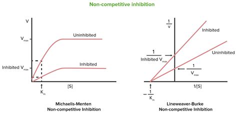 Enzyme Inhibition | Concise Medical Knowledge