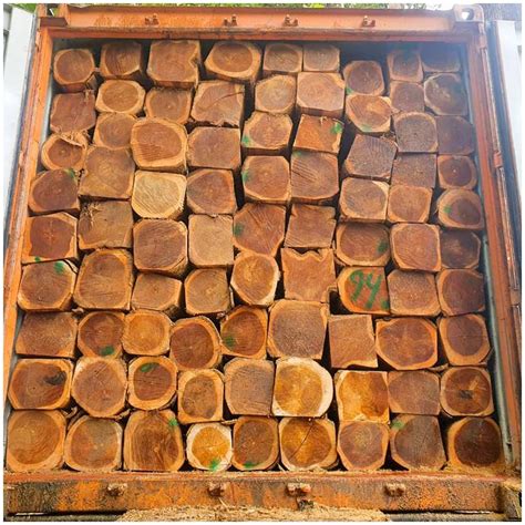 Photogallery - Sree Rani Sati Overseas Pvt. Ltd.