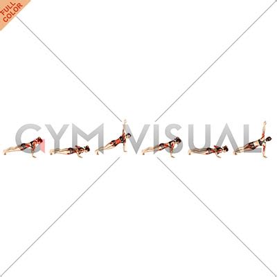 Pop Rotate 的图像结果