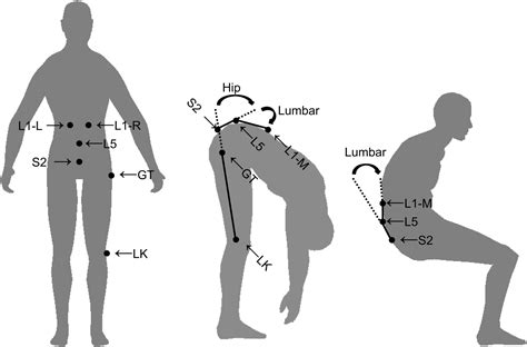 How To Improve Lumbar Range Of Motion at Kayla Clubbe blog